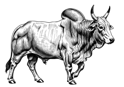 Imagen PNG para descargar